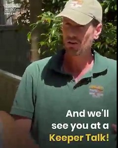 2.9K views · 125 reactions | The secret to the best Zoo visit? Hit as many free Keeper Talks as you can! | Perth Zoo | Facebook
