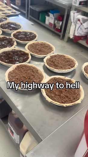 Today’s family pies line up Steak and mushroom Steak and cheese Pepper steak Mince bacon cheese Mince cheese Chicken cranberry Brie Chicken apricot cream cheese I’m so fucking sick of pies can someone help me | Freshbake