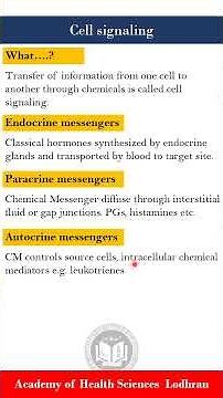 Endocrine, Paracrine, Autocrine & Neurocrine | Physiology | by Imran Yaseen