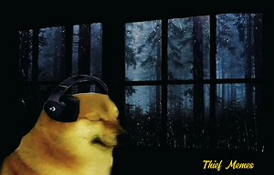 Ran wan mal dam 🍃 | Thief Memes