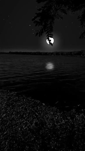 #reals #love#neelakasha# #reals #reals