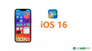 How to Fix iOS 16 Update Not Showing on iPhone and iPad (iOS 16.5/16.6)