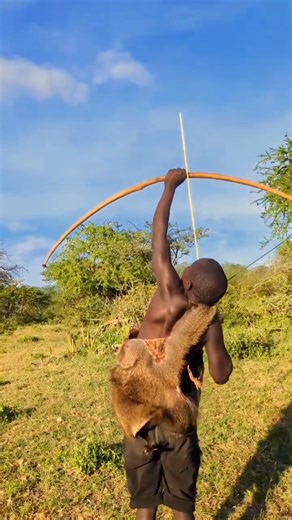 Chabaa Spots a Giant Lizard in the Tree…What Happens Next Will Shock You! 😳🐍| African Village Hunter