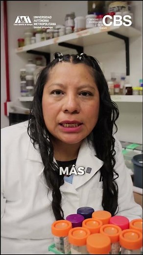 MENTORÍAS STEM DE LA UAM