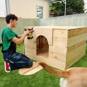 Beautiful pet house ideas you can easily build in a few hours! | Green Bean