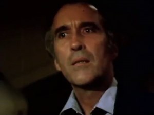 Airport '77 Movie (1977)