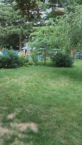 Building a backyard goldfish pond and this pup really enjoyed it #deckerspondscapes #ponds #pond #waterfall #family #landscapedesigner #landscapearchitects #saratogahomebuilders #recreationponds #realestate #strength #waterfallsny #engineers #outdoorliving #backyardgoals #waterfeature #gardendesign #outdoorlivingspace #fountain #glensfallsny #swimmingpool #international #recreation ￼ | Decker's Pondscapes