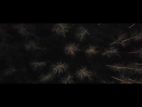 Yann Tiersen - Koad (Official Video)