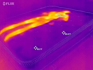 Winkbed Review - 10 Objective & Data-Driven Tests - NapLab