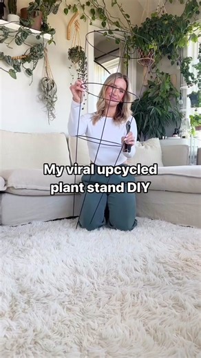 House + Plant on TikTok