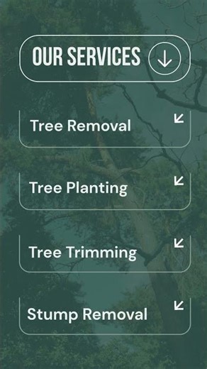 Looking for professional and affordable tree services?
