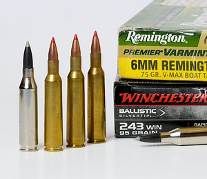 How 243 Winchester Trumped the Superior 244 Remington  — Ron Spomer Outdoors