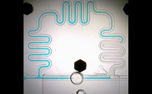 Microfluidic device—微阀