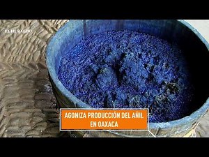 Añil orgánico, producto artesanal y mexicano que agoniza; un reportaje de Heraldo TV