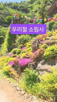 #우리절#금오산#소림사#대한불교조계종