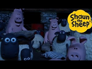 84K views · 1.7K reactions | Shaun the Sheep  Pig Attack! - Cartoons for Kids  Full Episodes Compilation [1 hour] - Shaun the Sheep Official #FullEpisodes #ShaunTheSheep #English | Shaun the Sheep Fans | Facebook