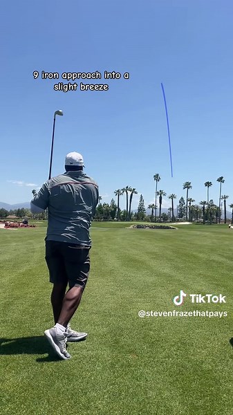 Steven FrazethatPays on TikTok