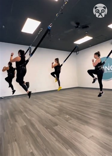 Super fun bungee cardio workout Partner: slingbungee IG: https://www.instagram.com/slingbungee/ FB: https://www.facebook.com/slingbungee/?ref=aymt_homepage_panel&eid=ARC71aE-qHjhpdnTf2Y-TIuUg1DlymGIkZPPhSwdM_uMAXXmmduyyv1gLlYuwpP9GkGjNGGN2SV2JJG1 TT: https://www.tiktok.com/@slingbungee | Bored Panda Art