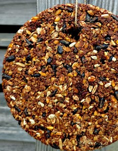 Flock Block Knock Off | Homemade Chicken Treat