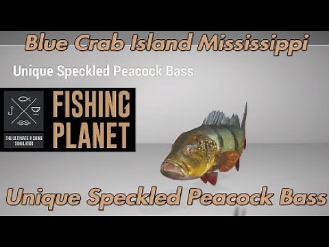 Unique Speckled Peacock Bass - Blue Crab Island Mississippi - Fishing Planet Guide