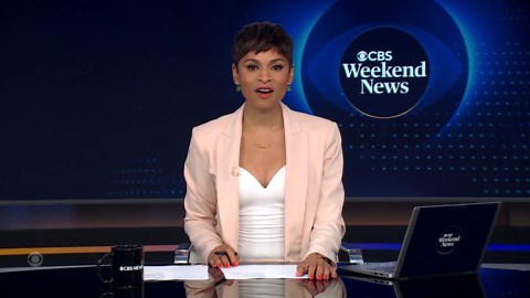 14 million honeybees escape after truck rollover