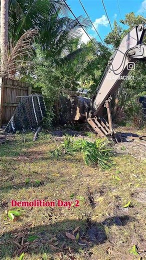 Demolition Day 2! Precision Tree Removal with Heavy Equipment #shorts #constructionsite