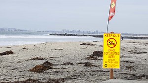 Avoid These Beaches With Too Much Poop