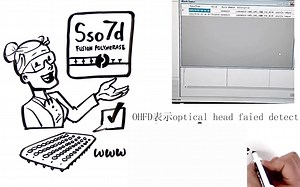 【拯救实验室41】CFX定量PCR仪x000B0029报错处理