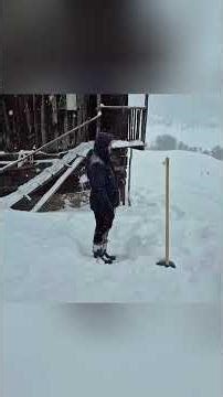 Caught in a Winter Snowstorm, Hiding in an Abandoned Log Cabin #survival #snow #wolves #survive