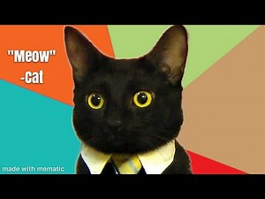 Cat brainrot memes