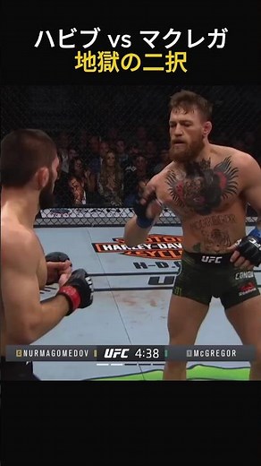 ハビブがマクレガーをノックダウンした理由