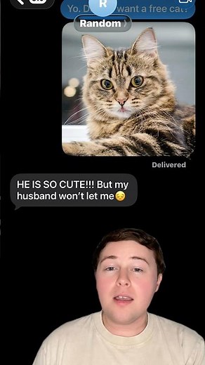 Texting Random Numbers!📱😂: FREE CAT!!!🐱 #shorts