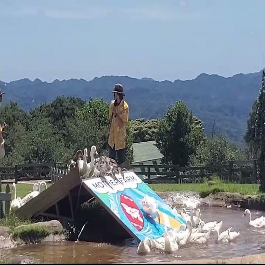What Life Is Like On A Farm In Japan: Mother Farm