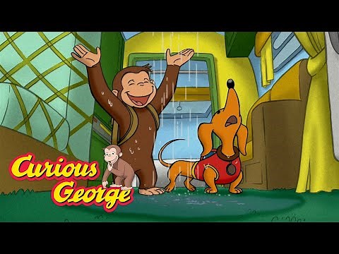The Flooded Camping Trip 🐵 Curious George 🐵 Kids Cartoon 🐵 Kids Movies