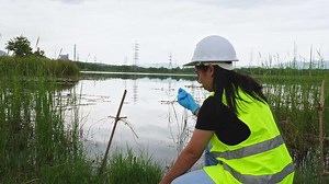 Environmental engineers analyze water quality and creature from natural source. Biologists taking samples of water and algae samples. Ecology field research.