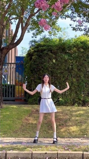 Dancing in a Pink Paradise: A Spin Through Mr.Chu's Korean Pop Wonderland