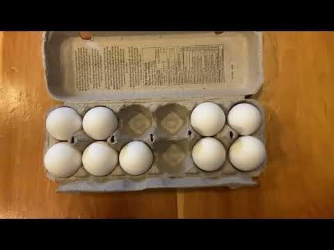 Efficient Counting Strategies #2 - Early Years Math