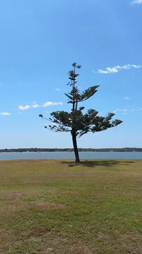 Our Daisy 🌼 Angela having a beautiful picnic at the beach with one of her clients, enjoy the fresh air and sunshine ☀️ #goldcoast #ndissupport #communitysupport #Companionship #communitytransport #agedcare #beaches | Driving Miss Daisy Ormeau