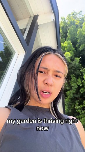 some of yall asked for this so GARDEN TOUR 🥰🌱🌽🥬🪻🍓🍉🍅🦋🐝👩🏻‍🌾 | garden