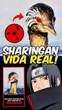 Does Sharingan EXIST in REAL LIFE? 😨🔥