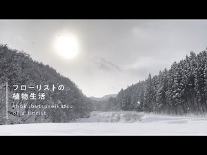 フローリストの日々の生活｜花を制作する環境｜フローリスト × 植物生活 vol.1 NP 高野のぞみさん