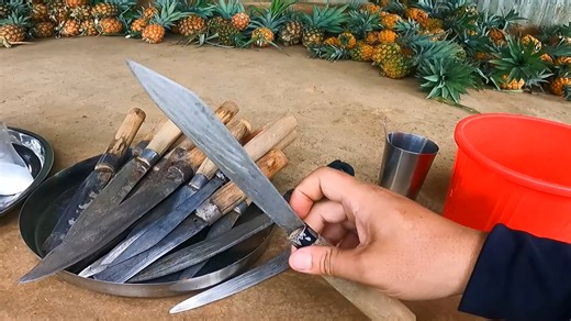 The best Kihom Thafam & Kihom Chafam..😱 Best Pineapple Farm in Manipur 😱😱 Location : Video gi aroibada lambi su takcharabani .. 🙏🙏 #pineapple #farm #exploring #Manipur #hiking #forest | Exploring Manipur