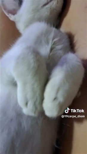 así duerme una persona sin preocupación