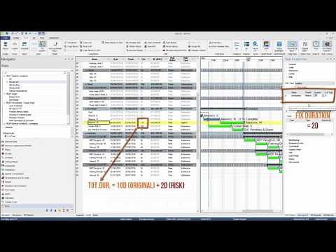 Risk Management using Synchro