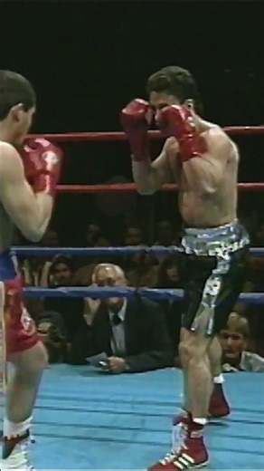 Best knockout boxing highlights you can't miss