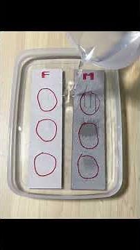 100％防水のマイクロセメント「Forcrete」の吸水実験