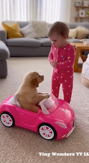 46K views · 625 reactions | “It’s my car, doggy! You don’t have a...