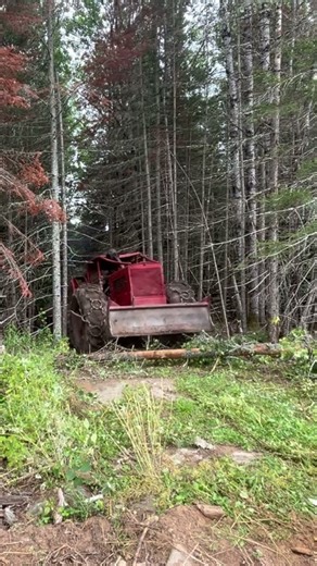 353 Detroit powered Timber jack #skidder #detroitdiesel #timberjack #short