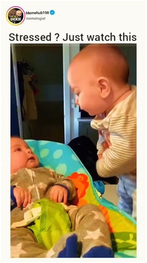 memelogist on Instagram: "The instagram reel montage of quadruplets, twins, and triplets laughing and playing, captioned "Stressed? Just watch this ," from an account specializing in uplifting videos. Posted June 7, 2025, it quickly amassed 25,000 likes and 3,000 reposts, with replies universally highlighting the heartwarming, stress-relieving joy of the infants' interactions. A 2023 meta-analysis in Frontiers in Psychology confirms laughter reduces cortisol by 37% even after one session, valida