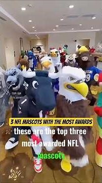 Top 3 NFL Mascots with the Most Awards